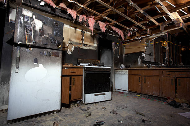 Affordable Fire Damage Removal solutions in Reisterstown, MD